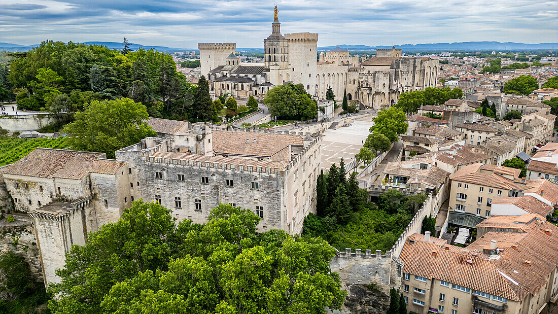 Aerial of the historic city and the Palace of the Popes, Avignon, UNESCO World Heritage Site, Vaucluse, Provence-Alpes-Cote d'Azur, France, Europe