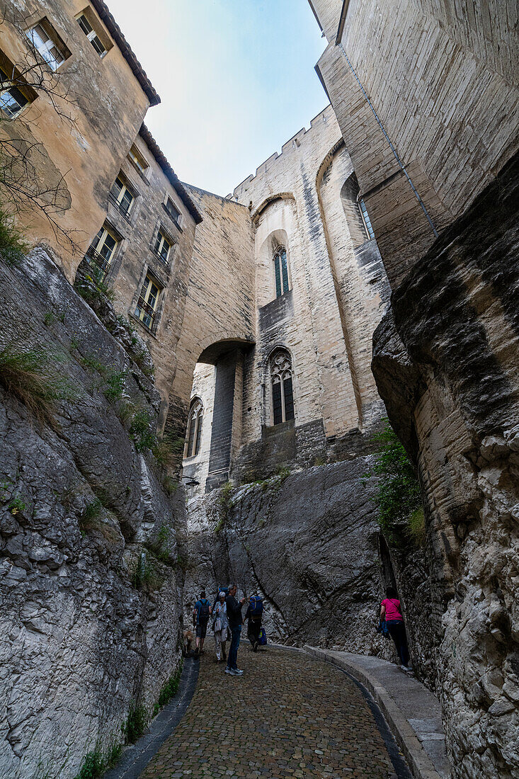 Palace of the Popes, Avignon, UNESCO World Heritage Site, Vaucluse, Provence-Alpes-Cote d'Azur, France, Europe