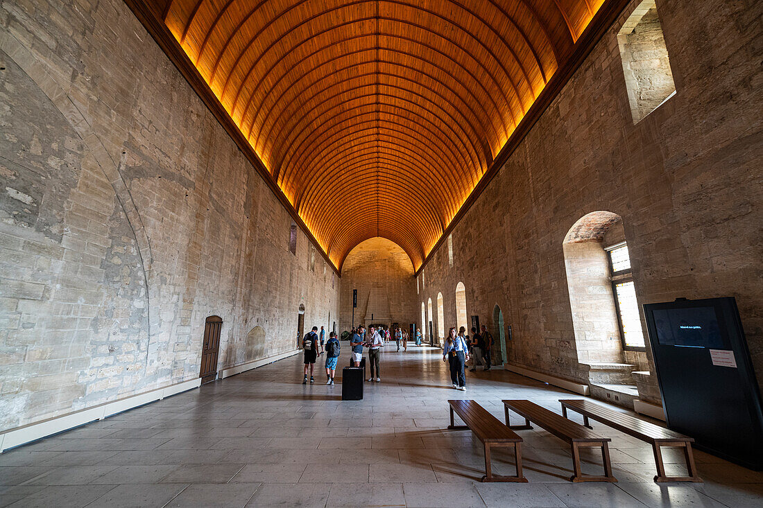 Palace of the Popes, Avignon, UNESCO World Heritage Site, Vaucluse, Provence-Alpes-Cote d'Azur, France, Europe