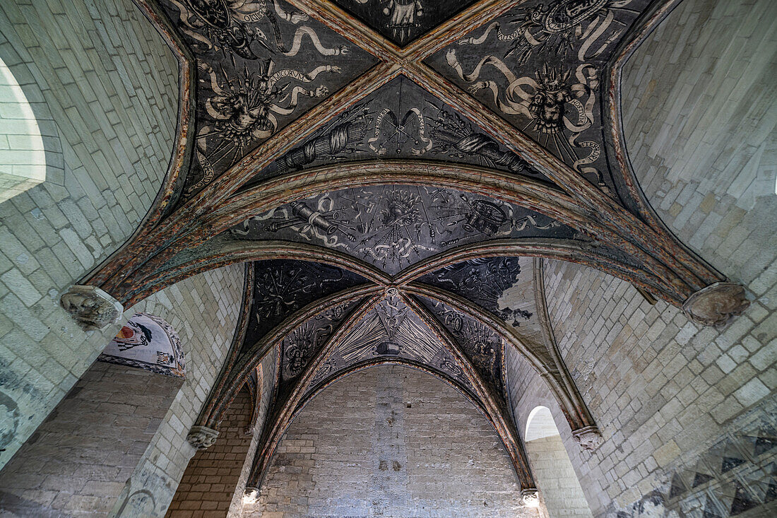 Palace of the Popes, Avignon, UNESCO World Heritage Site, Vaucluse, Provence-Alpes-Cote d'Azur, France, Europe