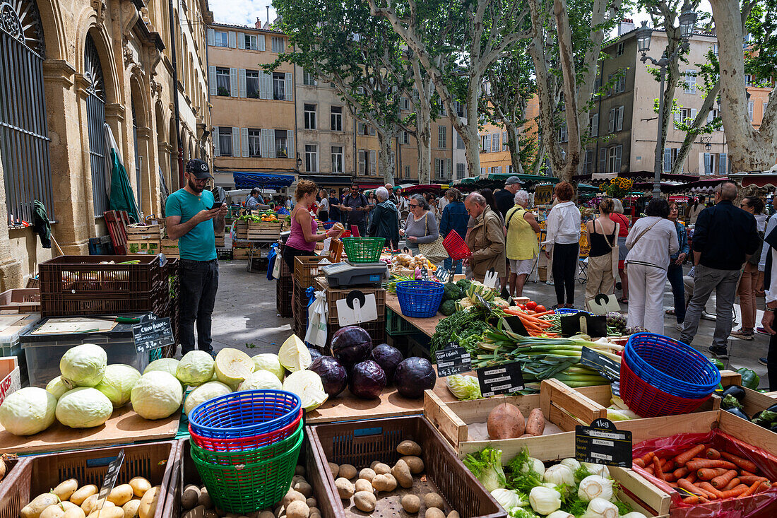 Markt im alten Stadtzentrum von Aix en Province, Bouches du Rhone, Provence-Alpes Maritimes-Cote d'Azur, Frankreich, Europa