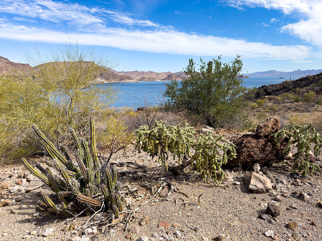 A view from the surrounding mountains of Concepcion Bay, Baja California Sur, Sea of Cortez, Mexico, North America