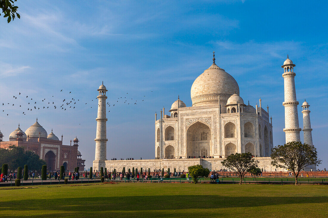 Taj Mahal, UNESCO-Welterbe, Agra, Uttar Pradesh, Indien, Südasien, Asien