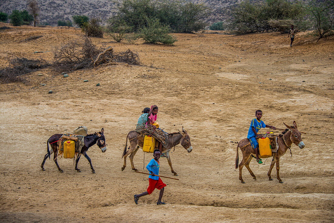 Junge Kinder reiten auf Eseln zu einem Wasserloch im Tiefland von Eritrea, Afrika