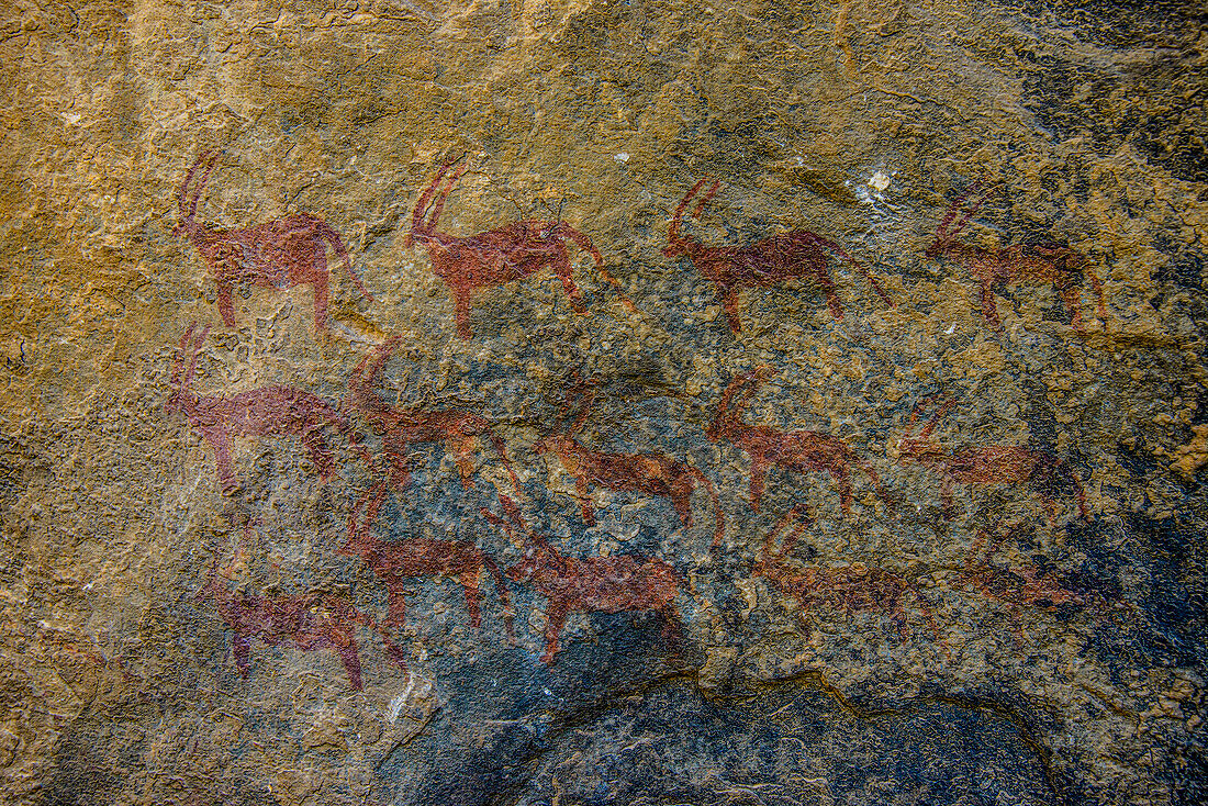 Ancient rock paintings at the Pre-Aksumite settlement of Qohaito (Koloe), Eritrea, Africa