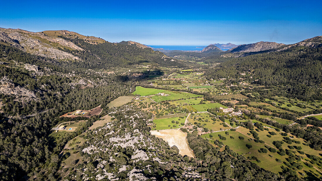 Luftaufnahme des schönen Tals hinter Pollenca, Mallorca, Balearen, Spanien, Mittelmeer, Europa