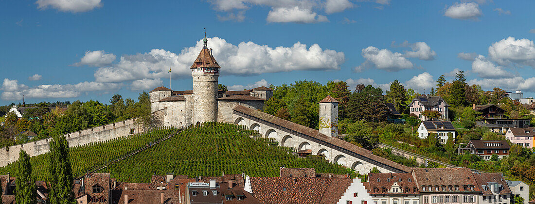 Blick über den Rhein auf die Altstadt, Schaffhausen, Schweiz, Europa