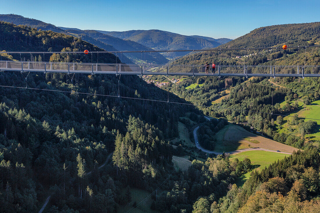 Blackforestline suspension bridge, Todtnau, Schwarzwald (Black Forest), Baden-Wurttemberg, Germany, Europe