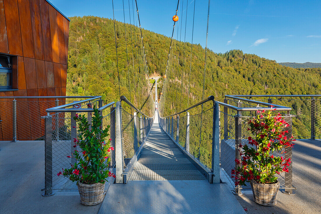 Blick auf Fußgängerbrücke, Hangloch-Wasserfall, Todtnau, Schwarzwald (Black Forest), Baden-Württemberg, Deutschland, Europa