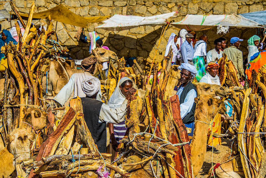 Mit Brennholz beladene Kamele, Montagsmarkt von Keren, Eritrea, Afrika