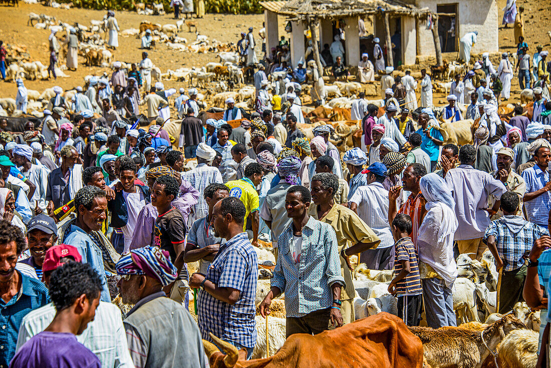 Der Montagstiermarkt von Keren, Eritrea, Afrika