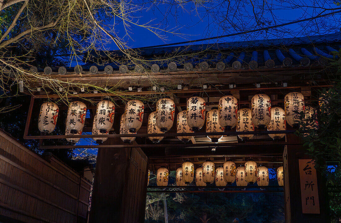 Nächtliche Beleuchtung an Tempeln während der Kirschblütenzeit (Sakura) und der Feste in Kyoto, Honshu, Japan, Asien