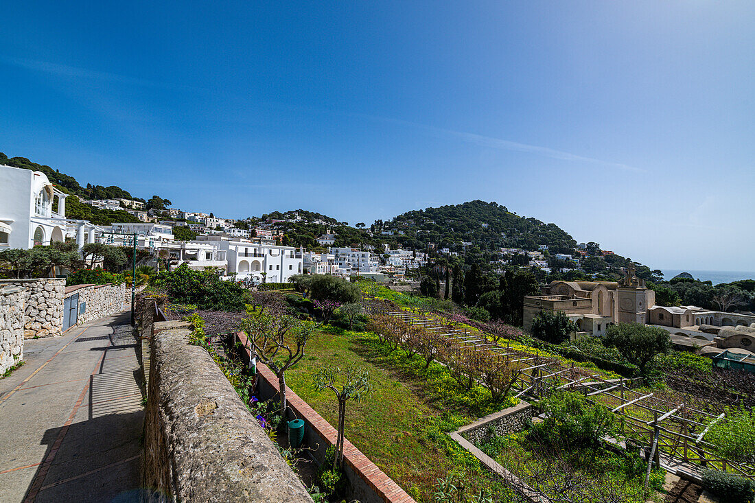 Garten auf der Insel Capri, Golf von Neapel, Kampanien, Italien, Europa