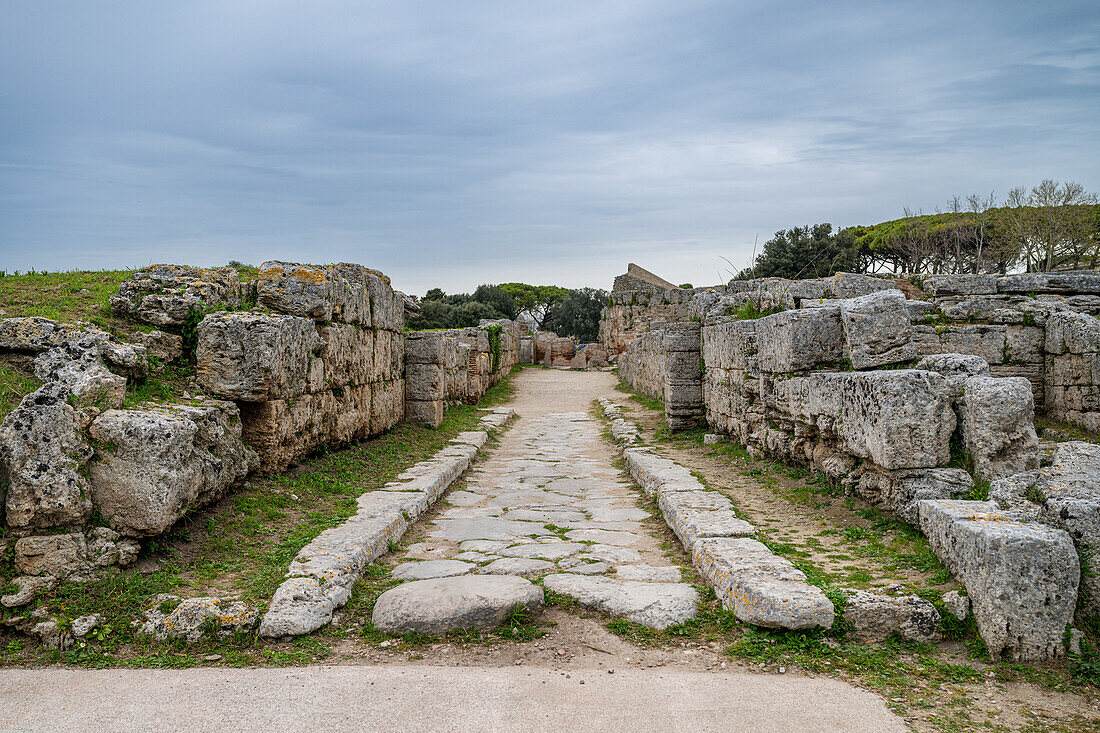 The Greek temples of Paestum, UNESCO World Heritage Site, Campania, Italy, Europe