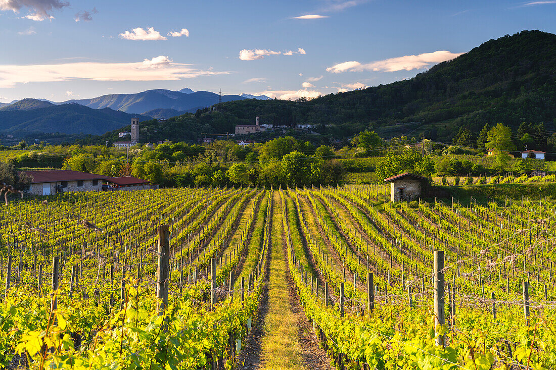 Landscape of Franciacorta country area in Brescia province, Lombardy, Italy, Europe