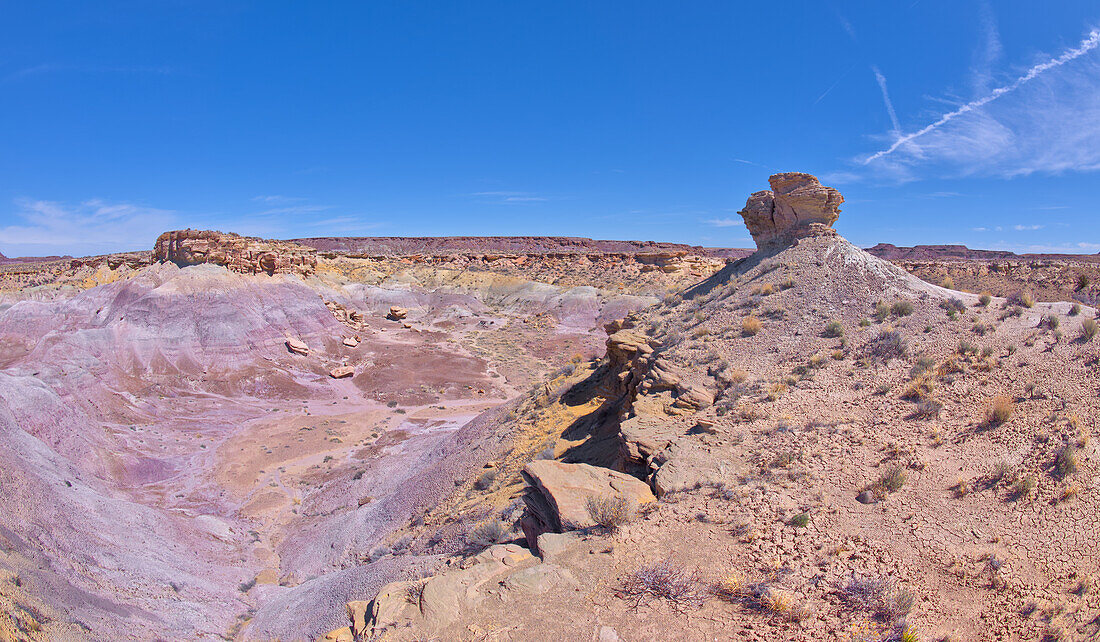 A lone hoodoo rock on the edge of a ridge overlooking the Jim Camp Wash on the south end of Petrified Forest National Park, Arizona, United States of America, North America