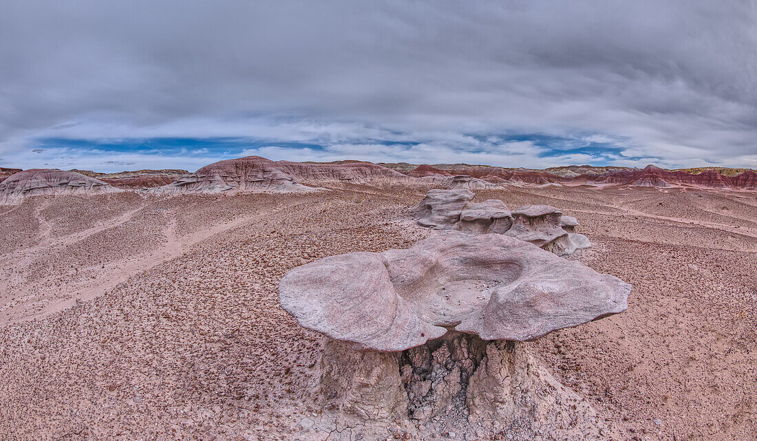 Sandstone that has been eroded into forms that resemble clam shells on the south end of Petrified Forest National Park, Arizona, United States of America, North America