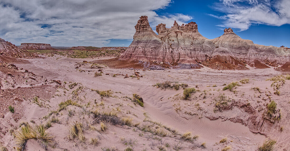 Hohe Hoodoo-Türme im Tal unterhalb von Blue Mesa im Petrified Forest National Park, Arizona, Vereinigte Staaten von Amerika, Nordamerika