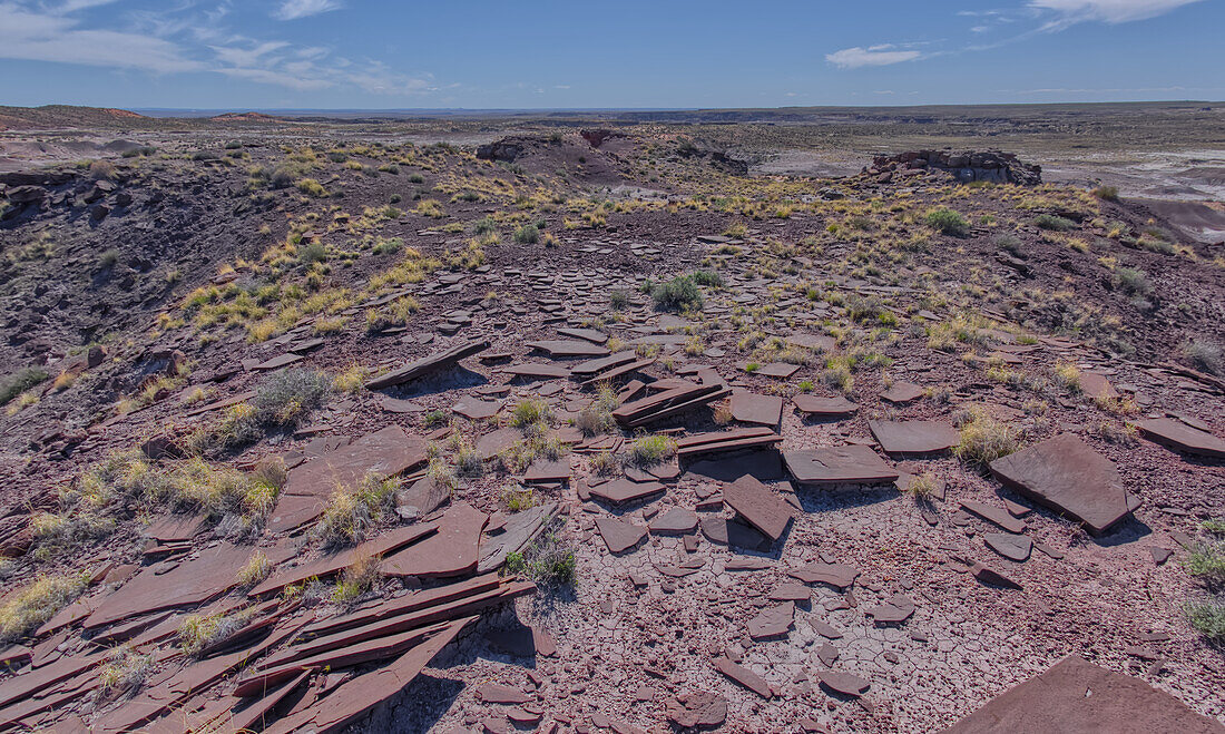 Platten aus braunem Sandstein auf dem Gipfel von Crystal Mesa westlich von Hamilili Point im Petrified Forest National Park, Arizona, Vereinigte Staaten von Amerika, Nordamerika