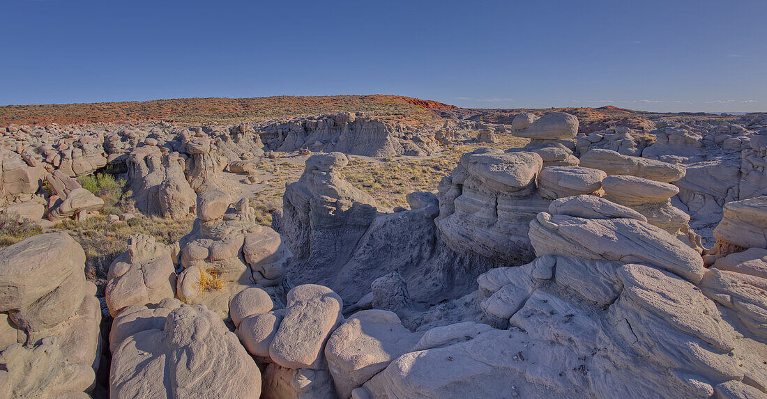 Goblin Garden west of Hamilili Point in Petrified Forest National Park, Arizona, United States of America, North America