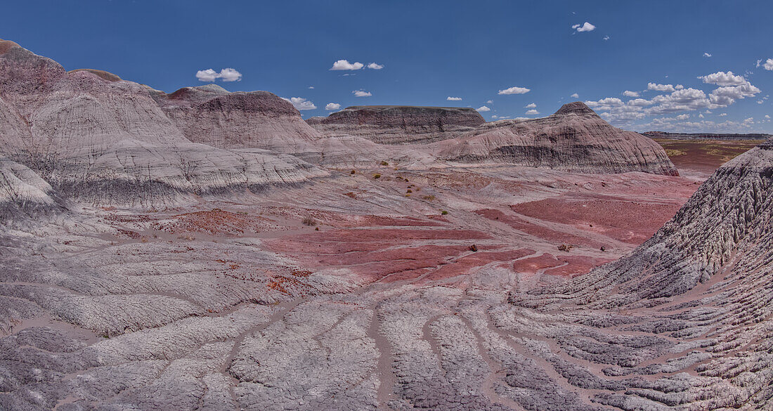 East slopes of Haystack Mesa in Petrified Forest National Park, Arizona, United States of America, North America