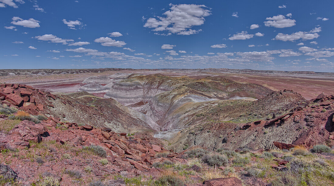 Nordöstlicher Zweig der Haystack Mesa im Petrified Forest National Park, Arizona, Vereinigte Staaten von Amerika, Nordamerika