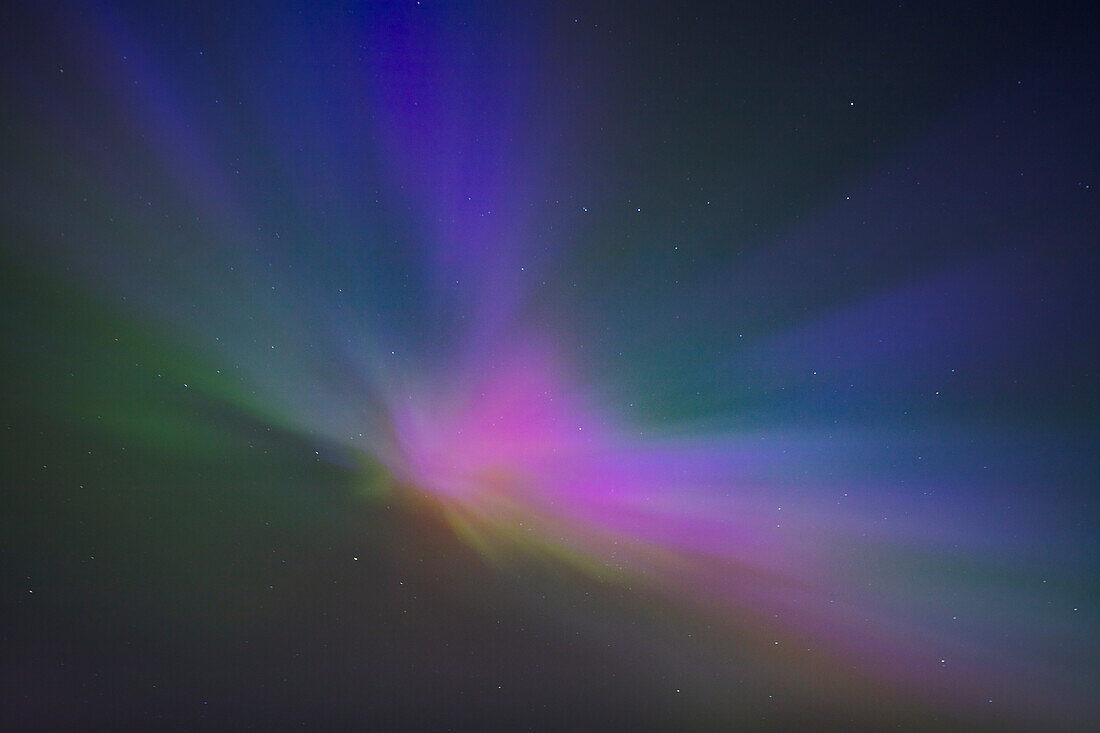 Das Nordlicht (Aurora Borealis), ein Kaleidoskop von explodierenden Farben am dunklen Himmel von Nordengland, Vereinigtes Königreich, Europa