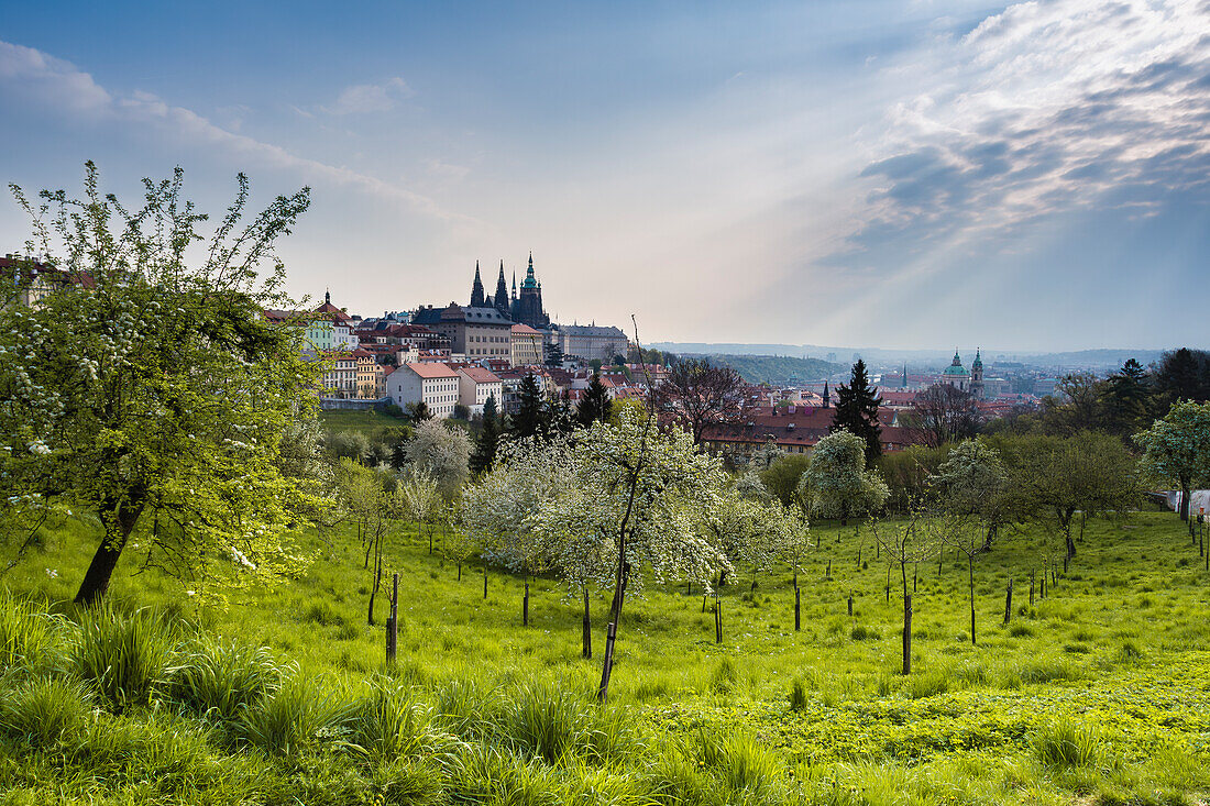 Prager Burg und Gärten auf dem Petrin-Hügel, Prag, Tschechische Republik (Tschechien), Europa