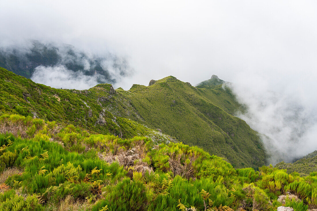 Mountains covered in fog along the walking trail to Pico Ruivo, Santana, Madeira, Portugal, Atlantic, Europe