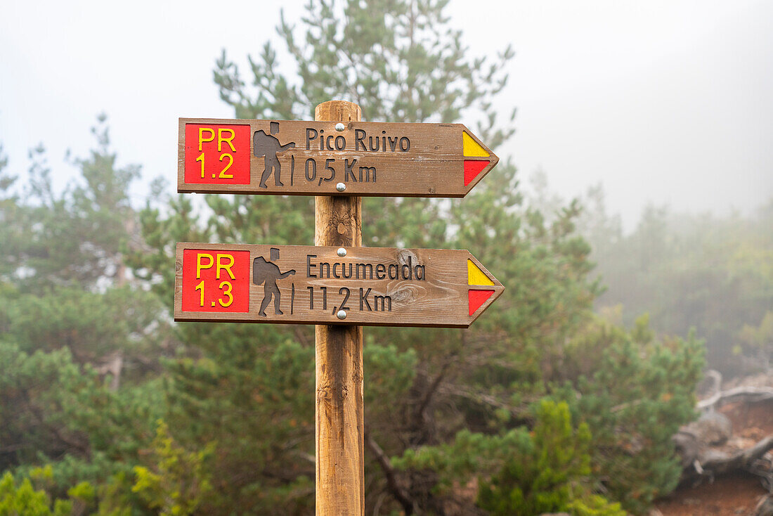 Trail signs showing directions to Pico Ruivo and Encumeada, Santana, Madeira, Portugal, Atlantic, Europe