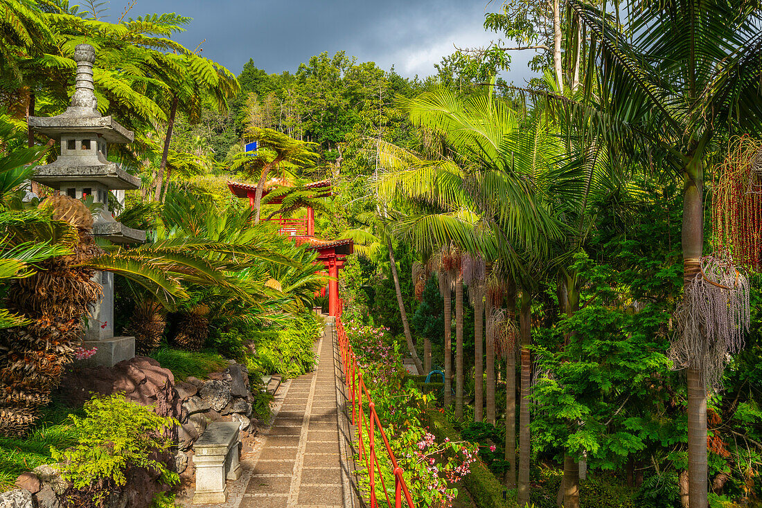 Oriental Gardens, Monte Palace Tropical Garden, Funchal, Madeira, Portugal, Atlantic, Europe