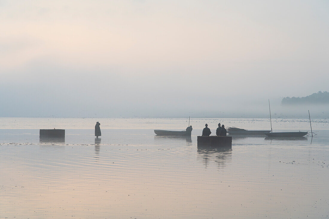 Fishermen preparing for fish harvest on foggy morning, Rozmberk Pond, UNESCO Biosphere, Trebon, Jindrichuv Hradec District, South Bohemian Region, Czech Republic (Czechia), Europe