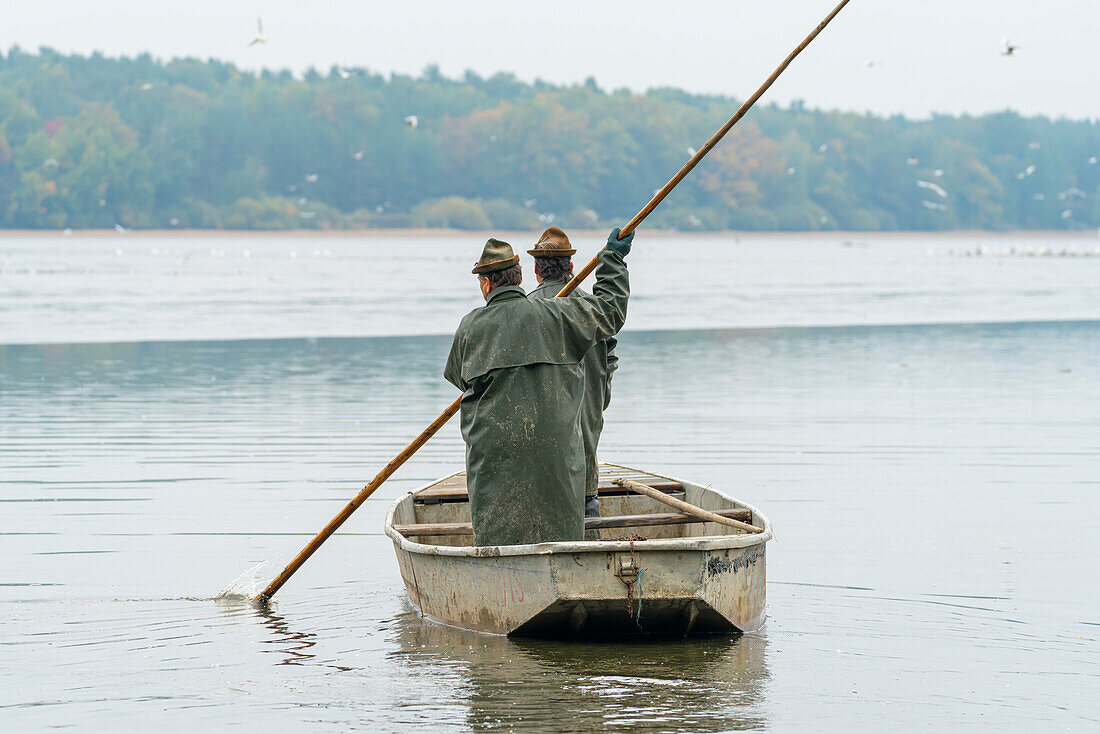 Two fishermen on boat preparing for fish harvest, Rozmberk Pond, UNESCO Biosphere, Trebon, Jindrichuv Hradec District, South Bohemian Region, Czech Republic (Czechia), Europe