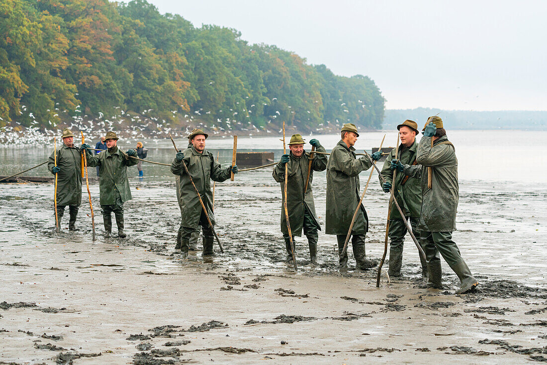 Fischer, die in einer Reihe stehen und bereit sind, das Seil während der Fischernte zu ziehen, Rozmberk-Teich, UNESCO-Biosphäre, Trebon, Bezirk Jindrichuv Hradec, Südböhmische Region, Tschechische Republik (Tschechien), Europa