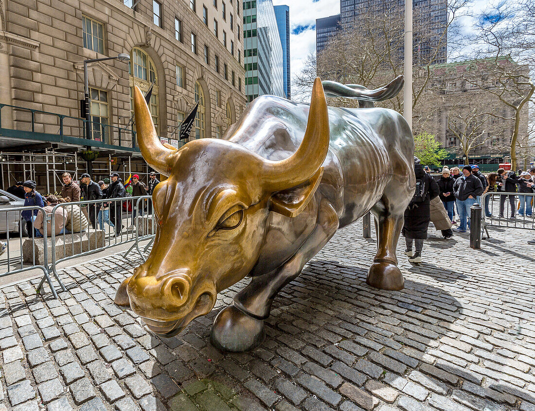 Charging Bull sculpture, near to Wall Street, installed in 1989 and symbolises the Financial Markets, New York City, United States of America, North America