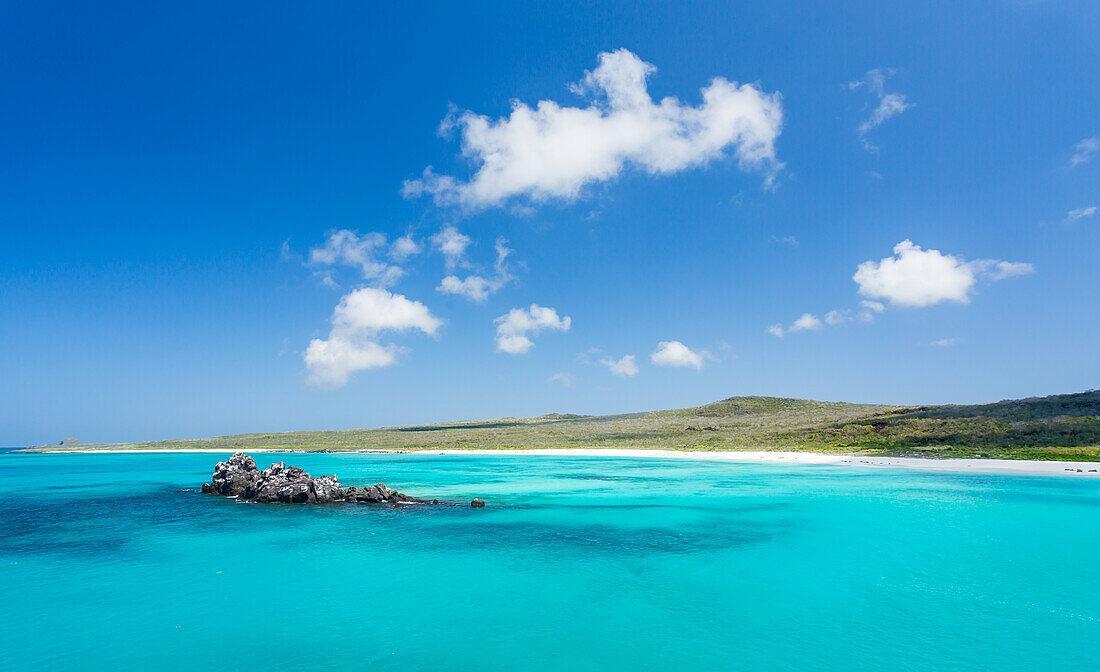 Gardner Bay, Espanola Island, Galapagos, UNESCO World Heritage Site, Ecuador, South America