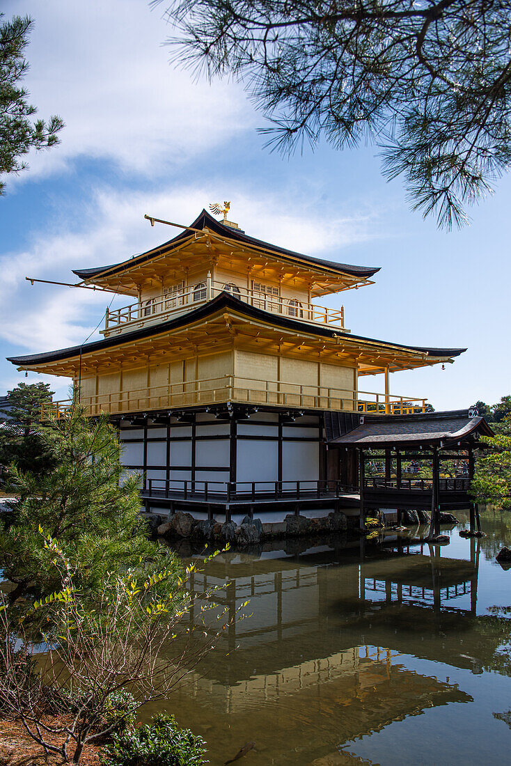 Golden Temple (Kinkaku-ji) reflected in the surrounding pond, UNESCO World Heritage Site, Kyoto, Honshu, Japan, Asia