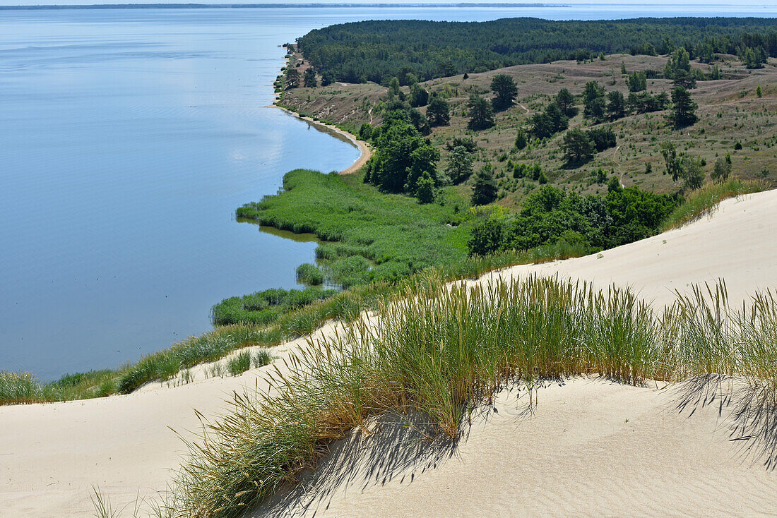 Sanddünen, Naturreservat Nagliai, Kurische Nehrung, Litauen, Baltikum, Nordeuropa