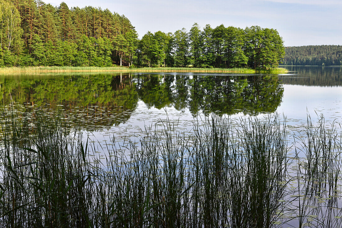 Linkmenas-See, Ginuciai, Aukstaitija-Nationalpark, Litauen, Europa