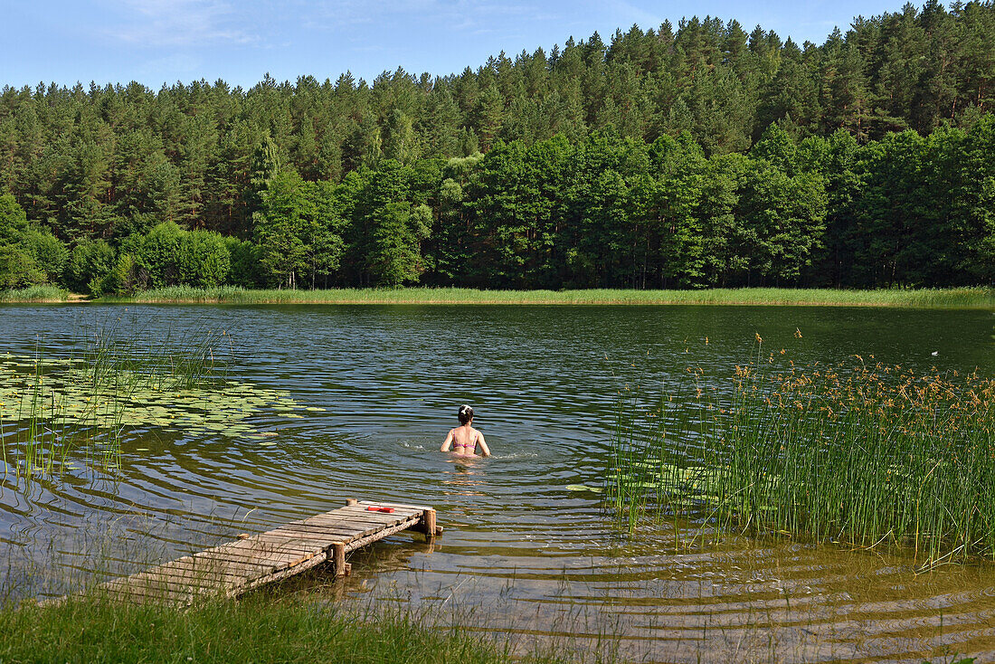 Am Rande des Lusiai-Sees bei Paluse, Aukstaitija-Nationalpark, Litauen, Europa