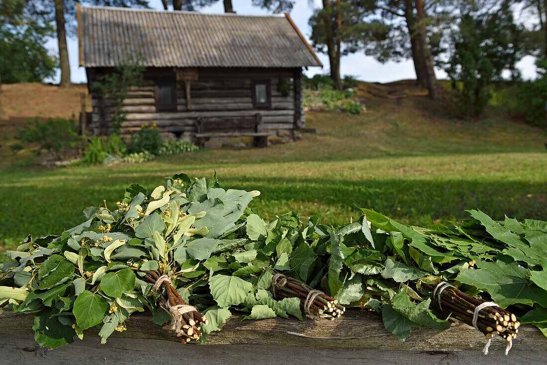 Linden, and other, branches used to flog during the traditional sauna seance on the edge of Lusiai Lake at Paluse, Aukstaitija National Park, Lithuania, Europe