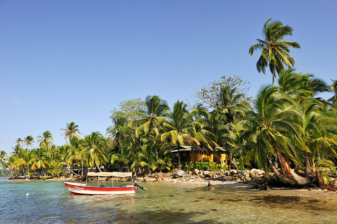 Boca del Drago, Insel Colon, Bocas del Toro Archipel, Republik Panama, Mittelamerika