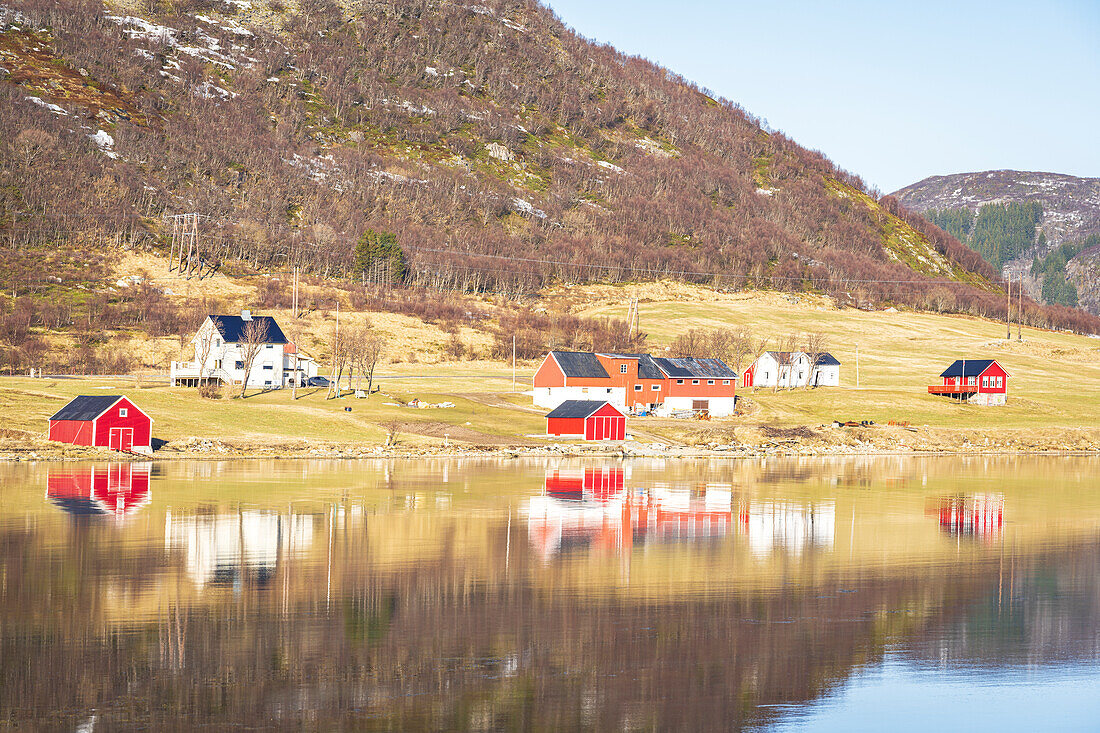 Rural scene of typical buildings and wooden hills by the fjord with their reflection in the water, Leknes, Lofoten Islands, Norway, Scandinavia, Europe