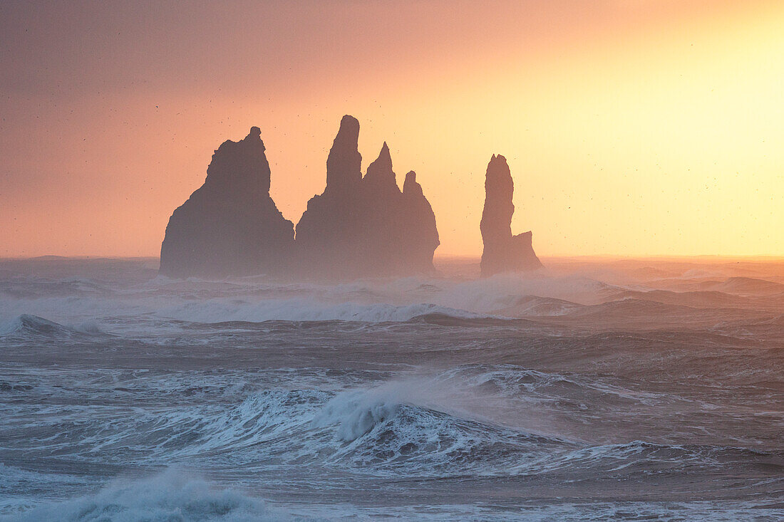 The warm light of a winter dawn envelops the famous stacks of Vik i Myrdal, Iceland, Polar Regions