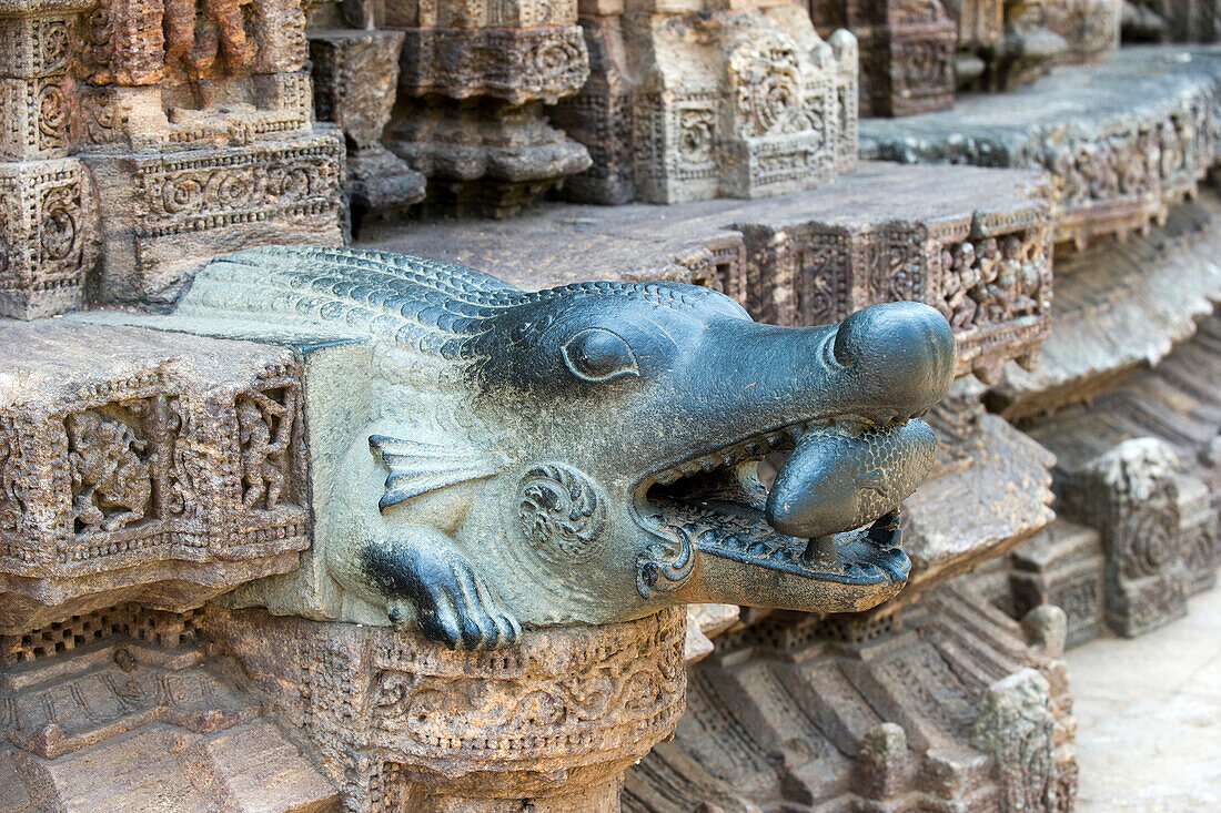 Detail des Sonnentempels aus der Mitte des 13. Jahrhunderts, der dem hinduistischen Sonnengott Surya geweiht ist und als zwölfrädriger, von sieben Pferden gezogener Wagen konstruiert wurde, UNESCO-Weltkulturerbe, Konarak, Puri-Distrikt, Odisha, Indien, Asien