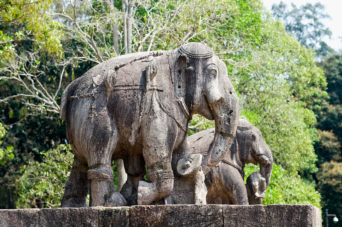 Stone statues of elephants among ruins in the grounds of the mid 13th century Sun Temple, dedicated to Surya, the Hindu Sun God, constructed as a twelve-wheeled chariot drawn by seven horses, UNESCO World Heritage Site, Konarak, Puri District, Odisha, India, Asia