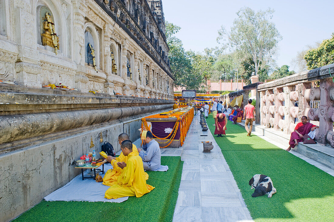 Blumenopfer und Gläubige im Kreuzgang des buddhistischen Mahabodhi-Mahabihara-Tempels (Großer Stupa), Bodh Gaya, UNESCO-Weltkulturerbe, Bihar, Indien, Asien