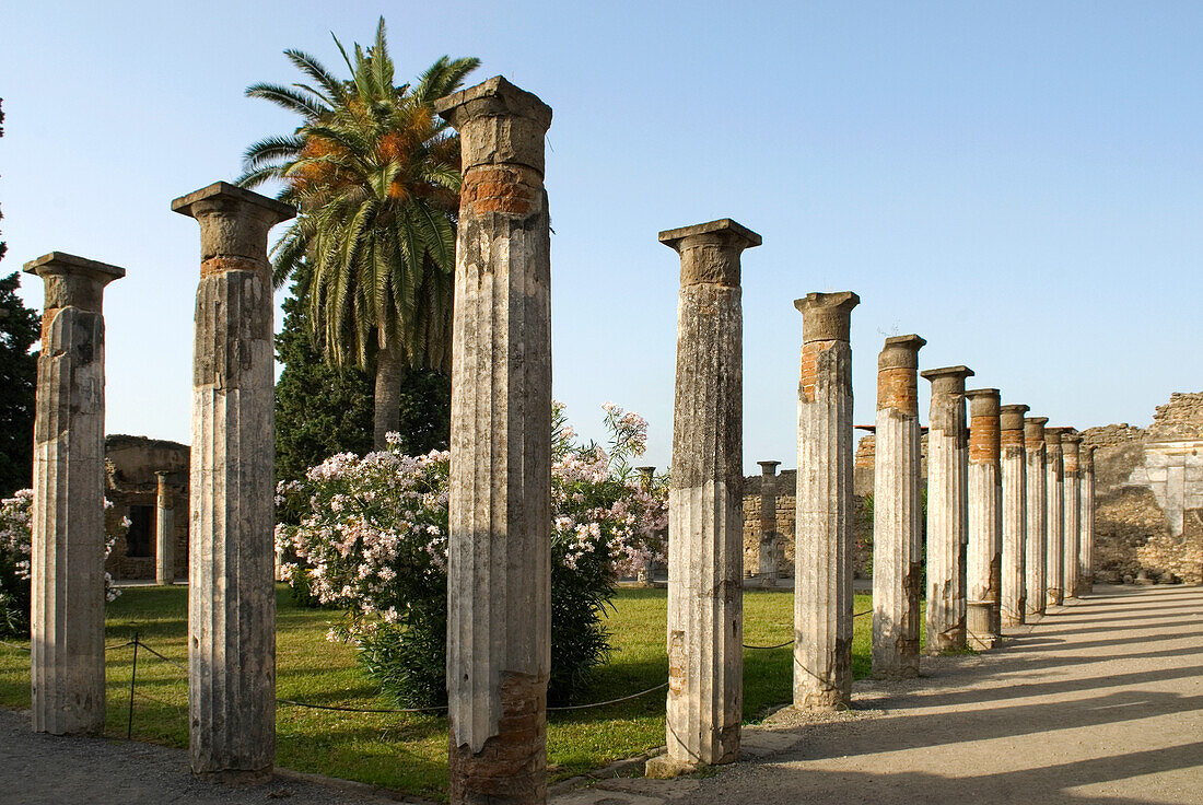 House of the Faun, archaeological site of Pompeii, UNESCO World Heritage Site, province of Naples, Campania, Italy, Europe