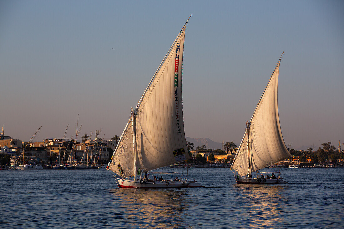 Feluken, die auf dem Nil segeln, Luxor, Ägypten, Nordafrika, Afrika