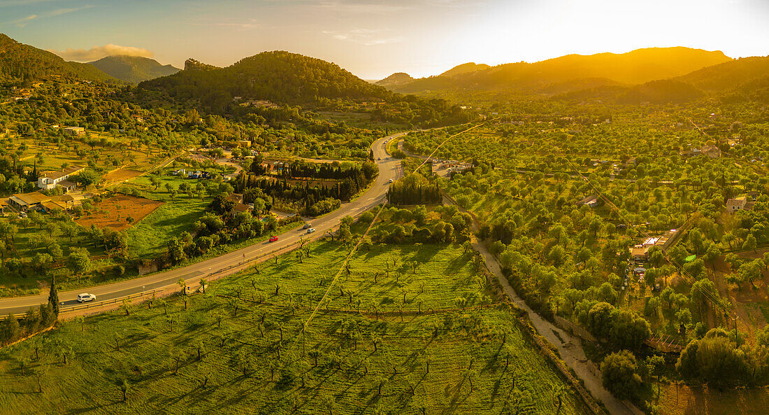 Aerial view of fruit tree fields near Andratx at sunset, Majorca, Balearic Islands, Spain, Mediterranean, Europe